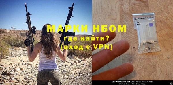 гидра Верхний Тагил