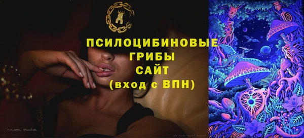 mdpv Верея