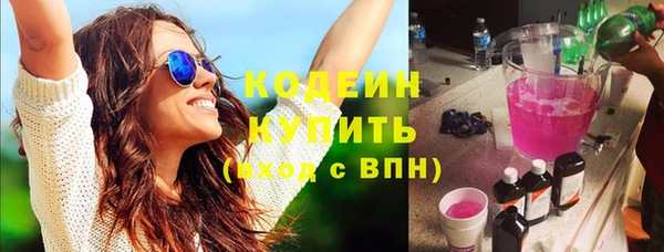 гидра Верхний Тагил