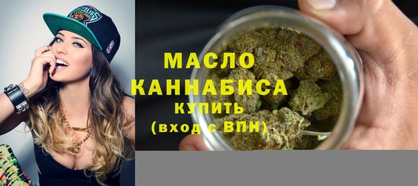 гидра Верхний Тагил