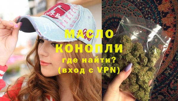 гидра Верхний Тагил
