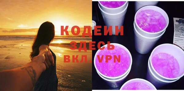 гидра Верхний Тагил